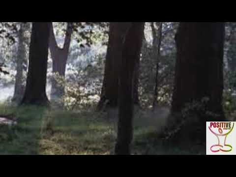 2 Minute Daily POSITIVE ENERGY BOOST "MORNING MEDITATION" for INNER PEACE Calm Anxiety Fear & Worry