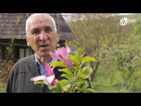 Petru Giurgi - Cântarea anilor trecuți (fragment din poezie)