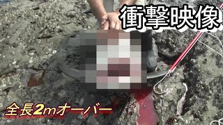 【伝説】沖磯で150kgの怪物を釣り上げる！伊豆下田沖横根サメバトル＃22釣りモン
