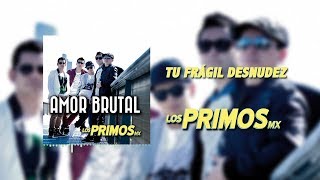 Tu Frágil Desnudez Lyrics English Translation