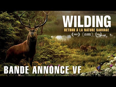 Wilding, Retour à la Nature Sauvage // Bande Annonce Officielle // VF