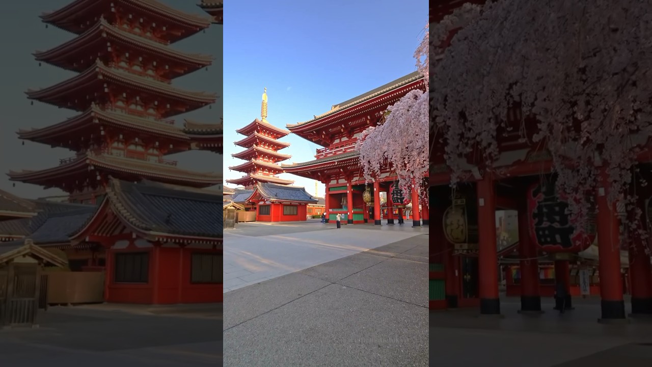 YouTube Short thumbnail