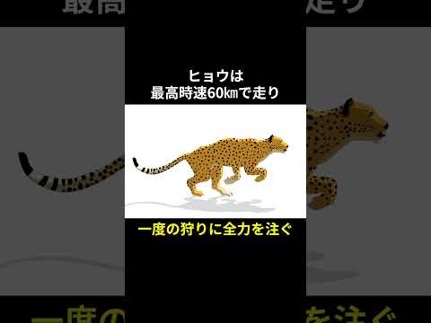ボルネオウンピョウ.PNG