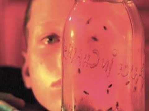 Rotten Apple - Alice In Chains