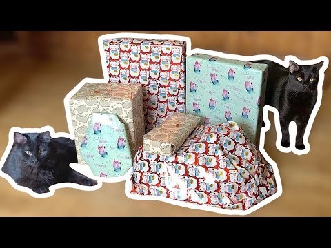 Testing Crazy Cat Toys & Gadgets