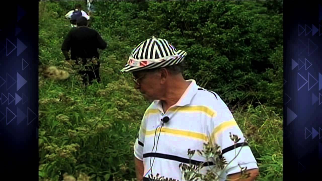 Vem Comigo - Goulart de Andrade Visita a Ilha Queimada Grande (28/04/14)