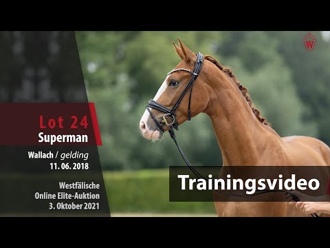62. Elite-Auktion Training Lot 24 Superman v. Sir Heinrich/Laudabilis