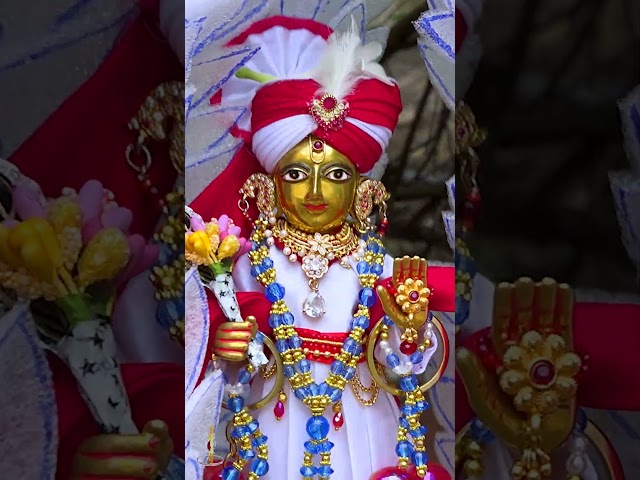 હરિકૃષ્ણ મહારાજ