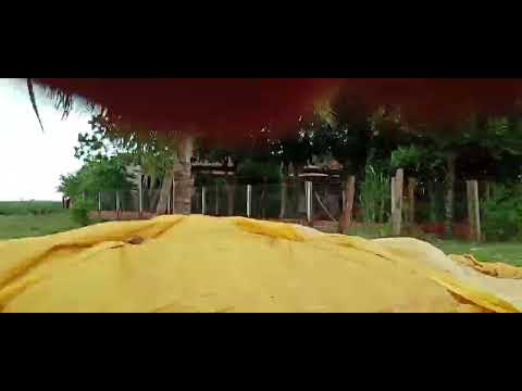 Distrito santo antonio em Ourizona Paraná Brazil 