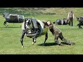 How US is Testing its Scary Future Million $ Super Advanced Robots