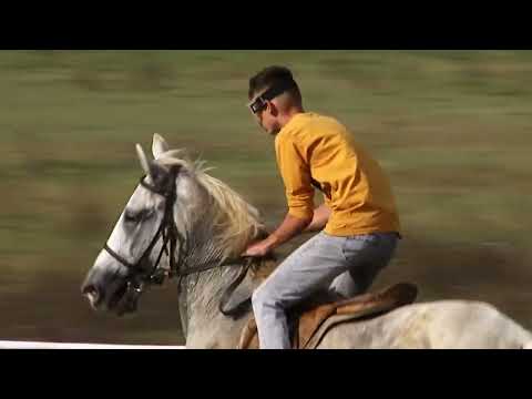 Gara Kombëtare me Kuaj – Raundi i Katërt - 27 Shtator 2025