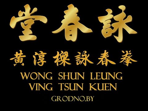 Ving Tsun line -  Wong Shun Leung - Li Heng Chang
