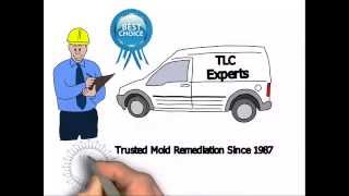 preview picture of video 'Mold Removal Jensen Beach Fl TLC Experts'