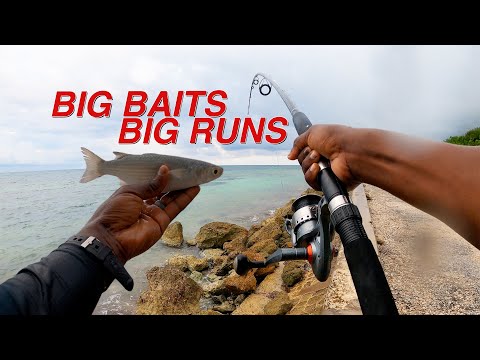 Big Bait, Big Run,  Fishing In the in the rain
