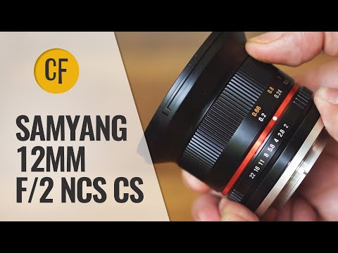 Video thumbnail for Video Review 1