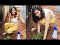 Actress Raashi Khanna Accepts Rashmika S Green India Challenge Telugu Tonic