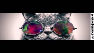 Big Gigantic ft. Cherub - The Night is Young ✦║Fυהk Nʌtiøη║✦