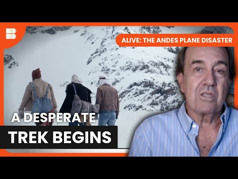 Surviving The Cordillera De Los Andes | Alive: The Andes Plane Disaster