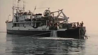 Jacques Cousteau Odyssey Lost Relics of the Sea