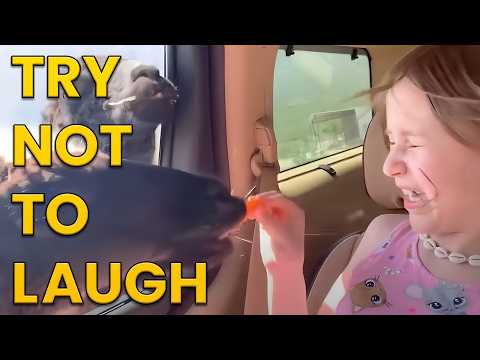 Funniest Animals of the Year! Try Not To Laugh Challenge 🙈😹