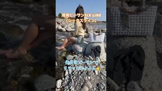 ビーサン散歩🩴酒匂川🤙