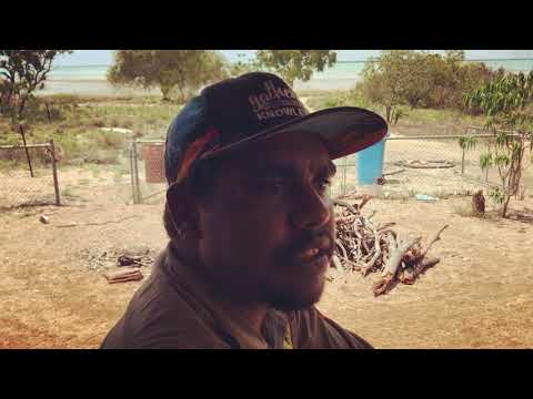 West Island Cat Eradication Project