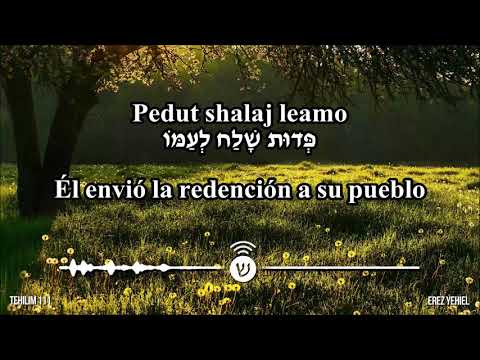 Tehillim / תהלים / Salmos: 95,1, 6, 20, 24, 67, 91, 100, 111, 121, 144, 145, 150 - Elad Tsfira