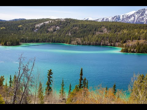 Chilkoot Charters