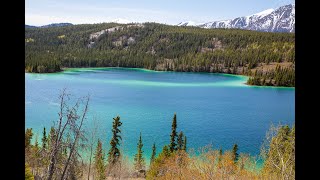 Yukon Klondike Adventure from Skagway by Bus - Chilkoot Charters (White Pass)