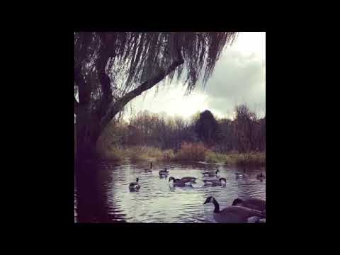 An Antonio Machado poem read by Casey