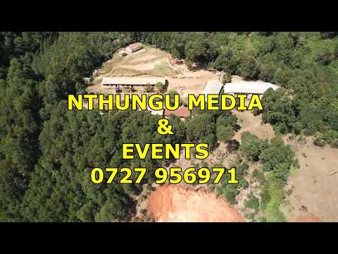 NTHUNGU MEDIA - KATUNGA FOREST