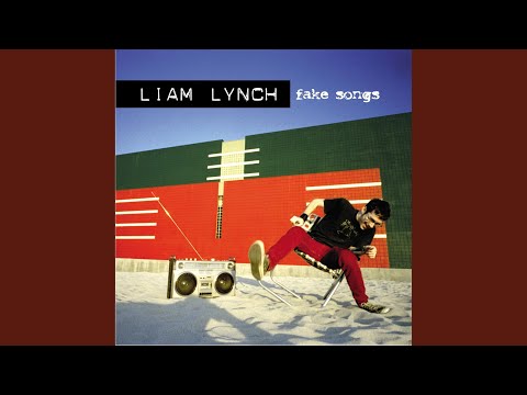 Liam Lynch United States of Whatever song