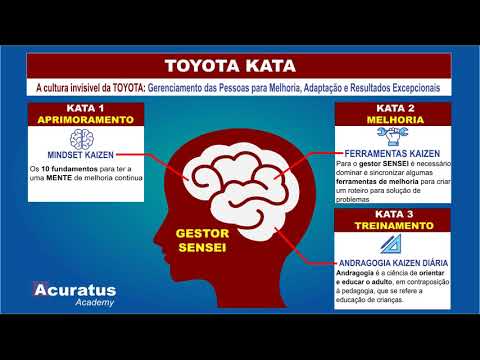 4.5 TOYOTA KATA 1 - MINDSET DE KAIZEN - O ENXERGAR A SI PRÓPRIO!
