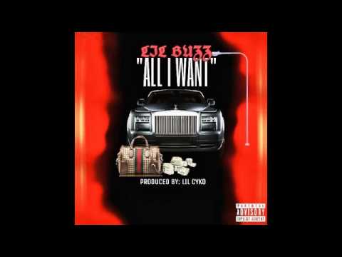 Lil Buzz Ft. Cocky2Hollywood - All I Want (Prod. By Lil Cyko)