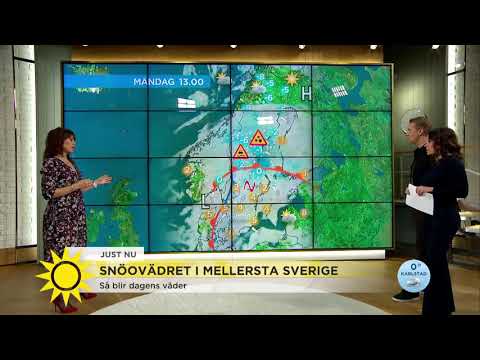Meteorologen varnar för tufft väderläge: "Det är jättefarligt i dag" - Nyhetsmorgon (TV4)