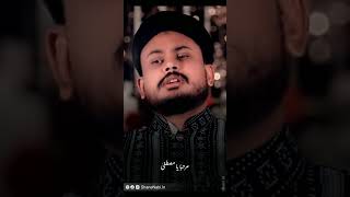 Eid Milad Un Nabi Status 12 Rabi Ul Awwal Status