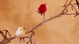 SHEL - Gather Close (Official Video)