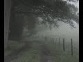 Ｆｏｒｇｏｔｔｅｎ ｉｎ ｔｈｅ ｆｏｒｅｓｔ Dreamcore Weirdcore Traumacore Playl