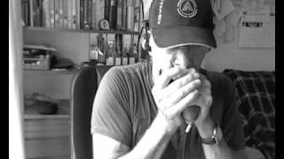 Work Song-Paul Butterfield - Harmonica Cover