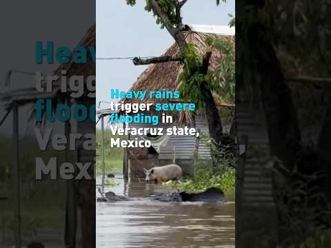Heavy rains trigger severe flooding in Veracruz state, Mexico