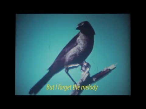 Red House video