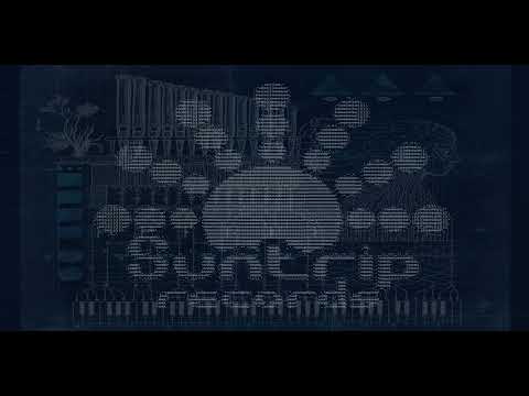 Tribute to Suntrip Records (Neogoa, GOA, Psytrance DJ-set)