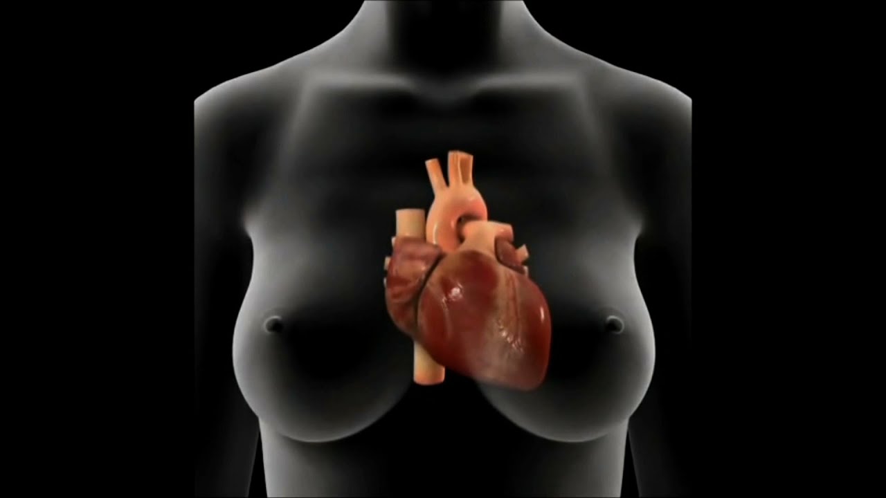 Javier Mora Robles-11