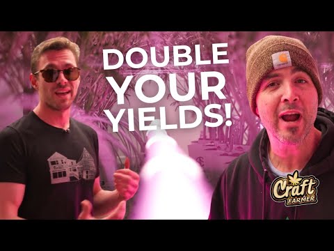 How We Are Using Undercanopy Lighting In Our Grow Rooms!