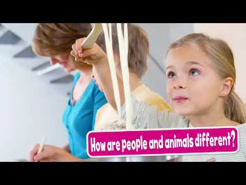 Oxford Bright Ideas 1 - Big Question 6