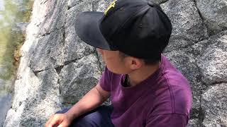米粒をあげると食べてくれる魚 ソレーネ周南 山口県 から揚げ テイクアウト