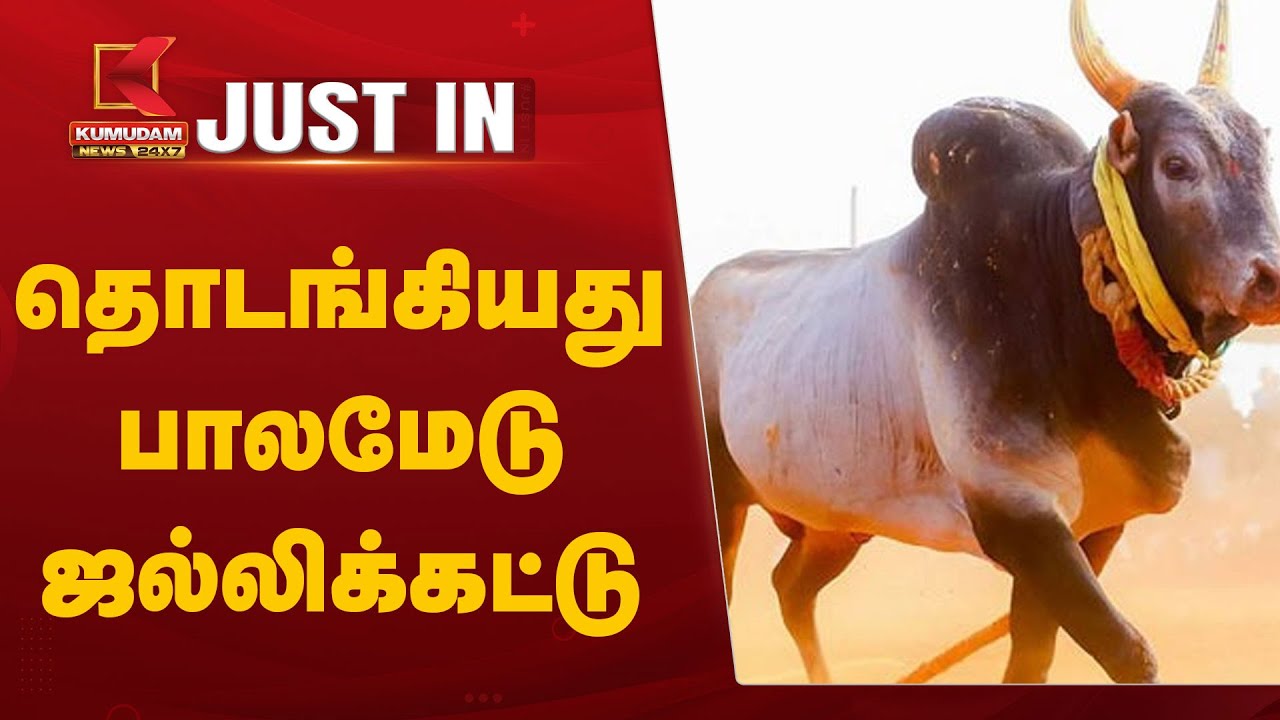 தொடங்கியது பாலமேடு ஜல்லிக்கட்டு 