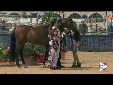 Most Beautiful Head Award - Class 8 - N. 122