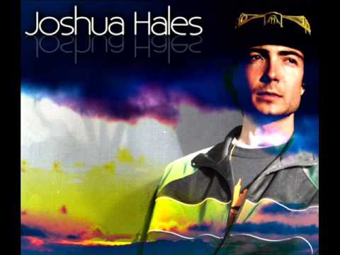 Sun is Shining - Joshua Hales (Reggae Hits 2014)