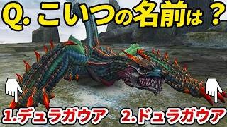 【モンハン】名前を間違えられがちなモンスターまとめ